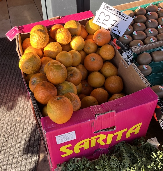 Seville Oranges in their natural habitat